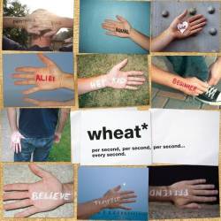 Wheat : Per Second, Per Second, Per Second... Every Second